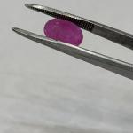 Rubt 4.34 Carat