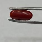 Coral 5.06 Carat
