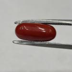 Coral 5.59 Carat