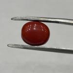 Coral 6.75 Carat