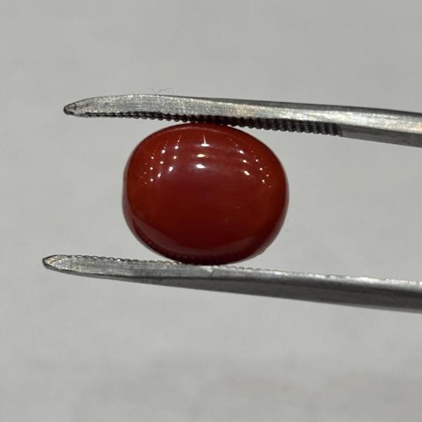 Coral 6.75 Carat
