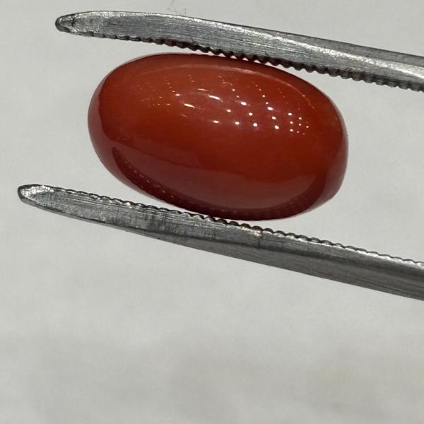 Coral 6.95 Carat