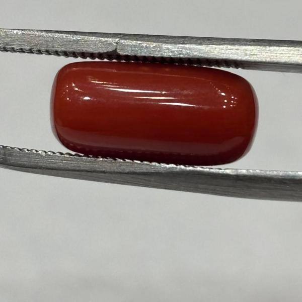 Coral 6.51 Carat