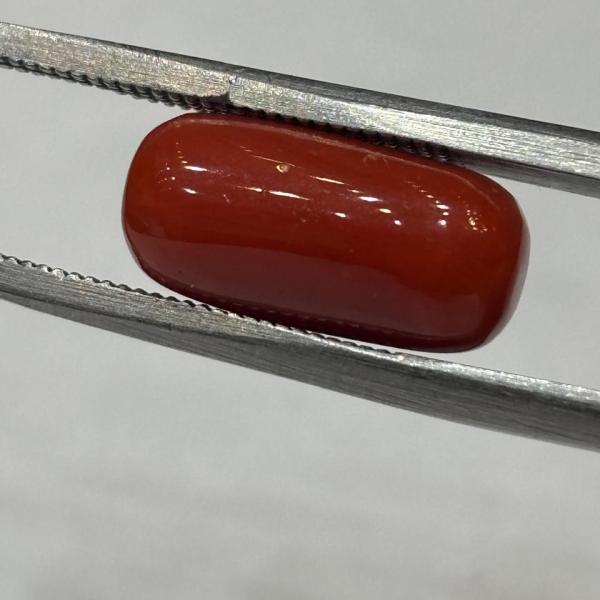 Coral 6.27 Carat