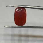 Coral 8.80 Carat
