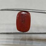 Coral 12.00 Carat